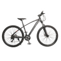 29 inch aluminium downhill mountain bicycle / kids mountain bike / double wall alloy rim mountain cycle mountainbike for sale